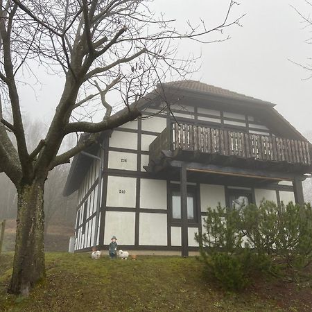 Ferienwohnung Lix Direkt Am Waldrand Frankenau المظهر الخارجي الصورة