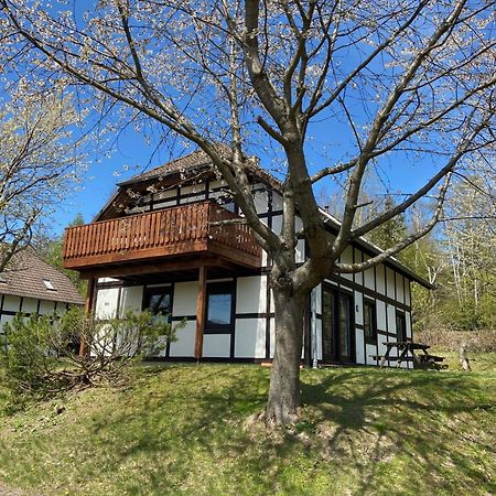 Ferienwohnung Lix Direkt Am Waldrand Frankenau المظهر الخارجي الصورة