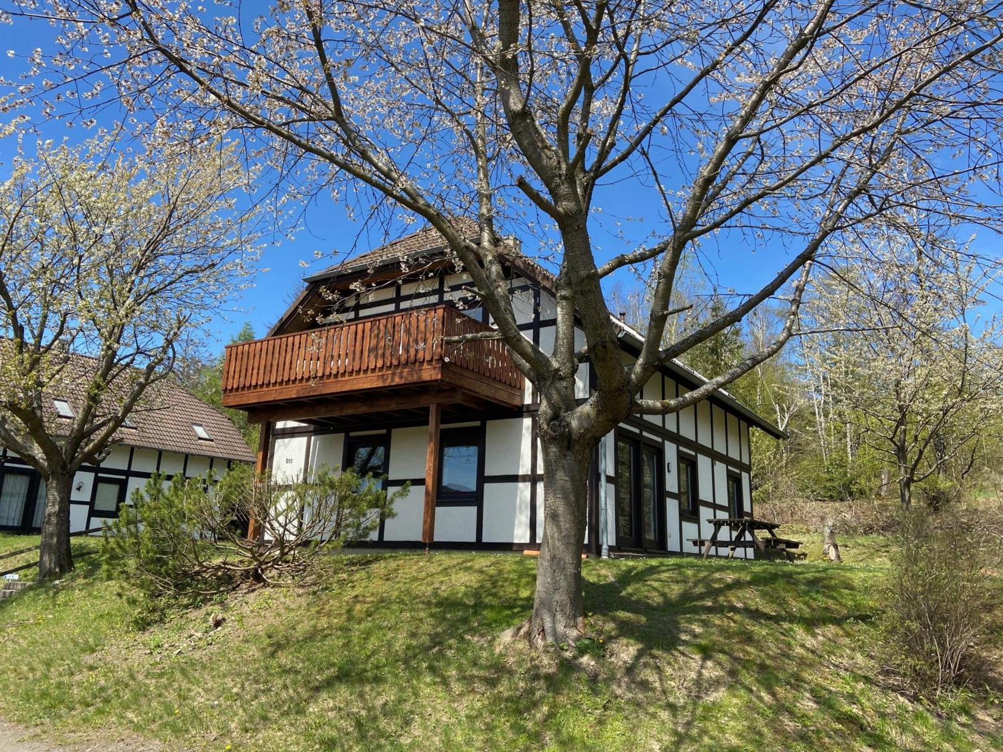 Ferienwohnung Lix Direkt Am Waldrand Frankenau المظهر الخارجي الصورة